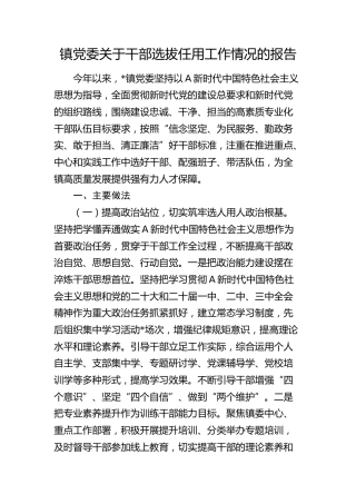 乡镇党委关于干部选拔任用工作情况的报告
