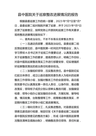 中医院巡察整改进展情况总结报告（6400字）