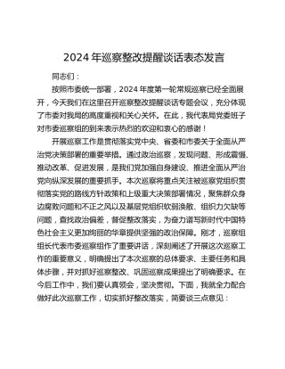 巡察整改提醒谈话表态发言