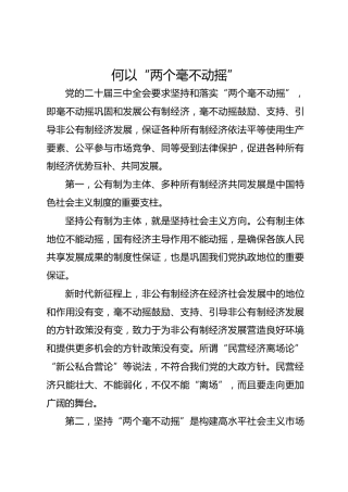 何以“两个毫不动摇”