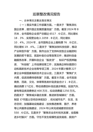 巡察整改情况报告3300字
