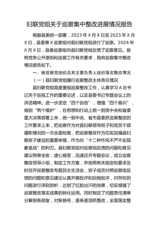 妇联巡察集中整改进展情况的报告（6000字总结）
