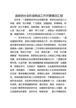 县区新的社会阶层统战工作开展情况汇报