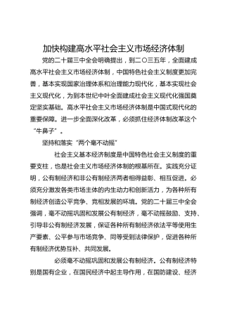 加快构建高水平社会主义市场经济体制