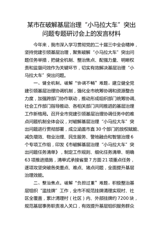 市在破解基层治理“小马拉大车”突出问题专题研讨会上的发言