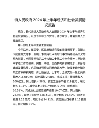 乡镇人民政府2024年上半年经济和社会发展情况报告