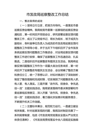 市发改局巡察整改工作总结