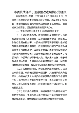 统战部巡察整改进展情况通报（总结汇报）