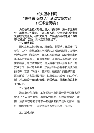 水利局“传帮带 促成长”活动实施方案 