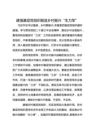 建强基层党组织 锻造乡村振兴“生力军”
