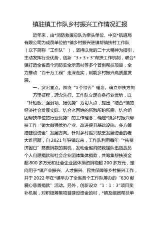 乡镇驻镇工作队乡村振兴工作情况汇报