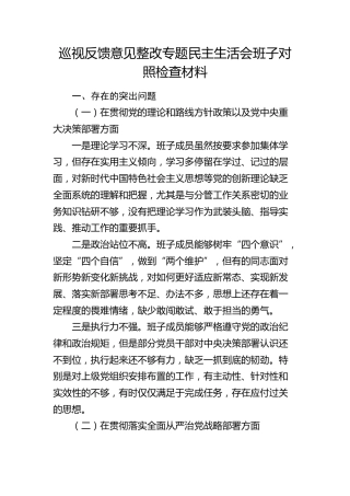 巡视反馈意见整改专题民主生活会班子对照检查3900字
