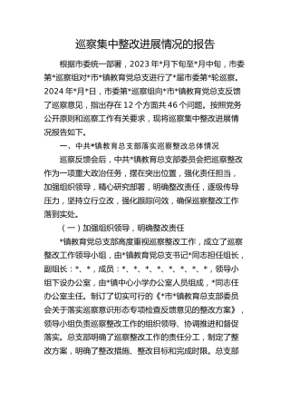 乡镇巡察集中整改进展情况报告（9200字总结）