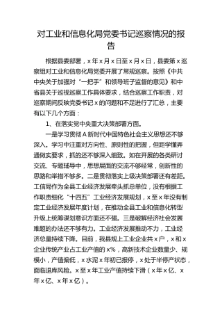 对党委书记巡察情况的报告（问题和不足汇总）