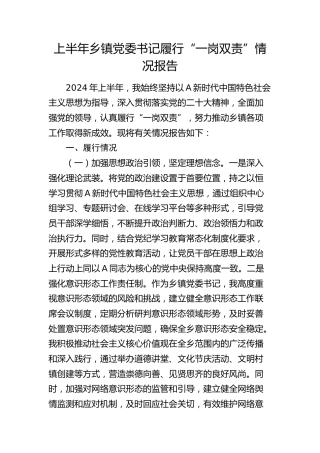 上半年乡镇党委书记履行“一岗双责”情况报告