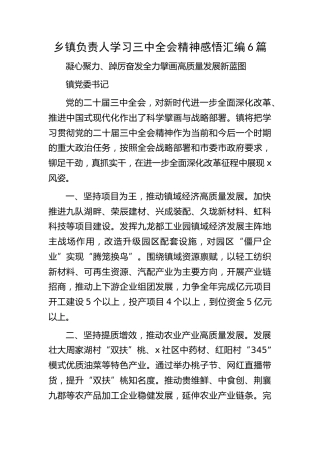 乡镇学习三中全会精神心得体会发言6篇（简单版）
