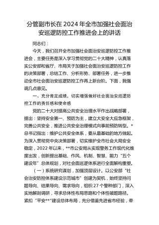 分管副市长在全市加强社会面治安巡逻防控工作推进会上的讲话
