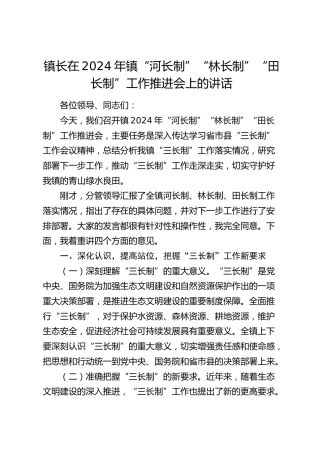 镇长在2024年乡镇“河长制”“林长制”“田长制”工作推进会上的讲话