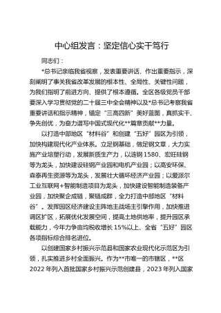 中心组发言：坚定信心 实干笃行（总书记考察）