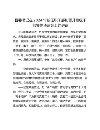县委书记在新任职干部和晋升职级干部集体谈话会上的讲话