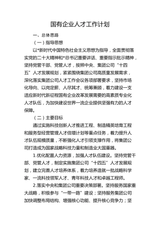 国企公司人才工作计划3700字