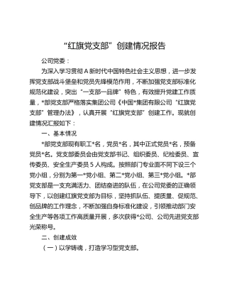 “红旗党支部”创建情况报告3800字