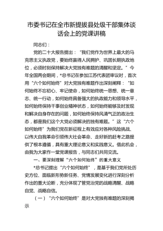 市委书记在全市新提拔县处级干部集体谈话会上的党课