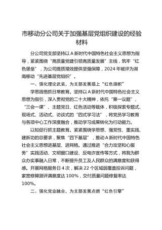 市移动分公司加强基层党组织建设经验（党建经验）