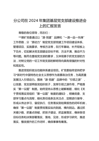 分公司在2024年基层党支部建设推进会上的汇报发言