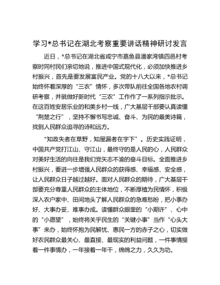 学习总书记在湖北考察重要讲话精神研讨发言
