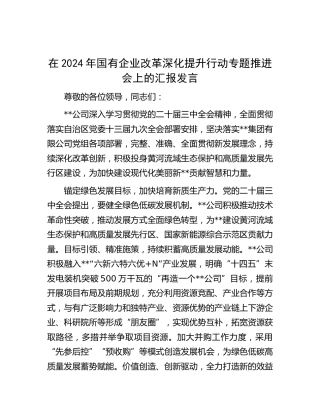 在国有企业改革深化提升行动专题推进会上的汇报发言（公司）