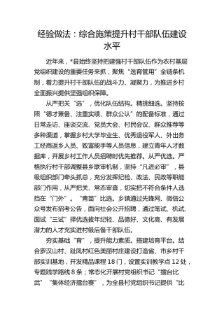 经验做法：综合施策提升村干部队伍建设水平（发言）