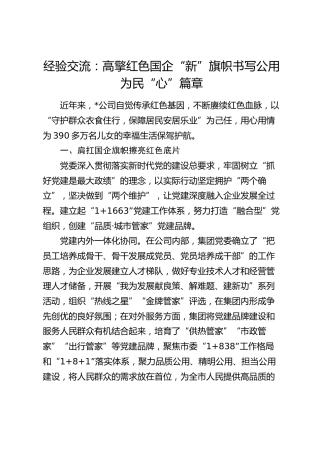 经验交流：高擎红色国企“新”旗帜 书写公用为民“心”篇章（发言）