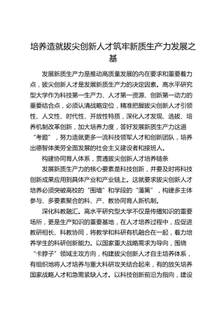 研讨发言：培养造就拔尖创新人才 筑牢新质生产力发展之基