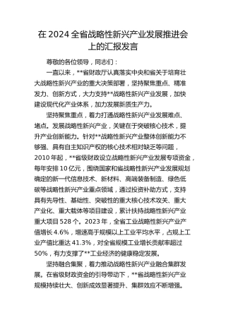 全省战略性新兴产业发展推进会上的汇报发言