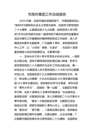 市局共青团工作总结报告1700字