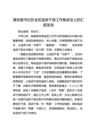乡镇书记在全区选派干部工作推进会上的汇报发言