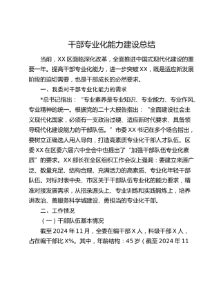 干部专业化能力建设总结汇报