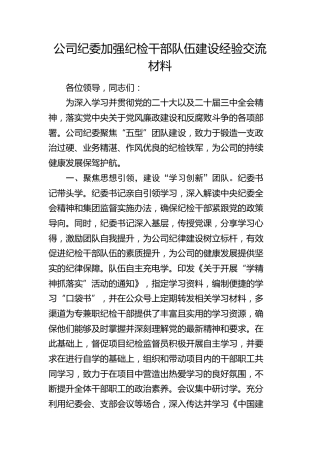 公司纪委加强纪检干部队伍建设经验总结交流3200字√