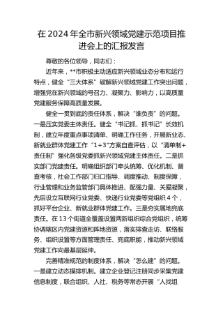 在全市新兴领域党建示范项目推进会上的汇报发言