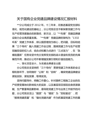 国企公司党建品牌建设情况总结汇报