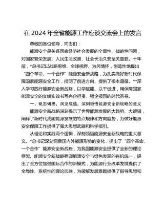 在全省能源工作座谈交流会上的发言