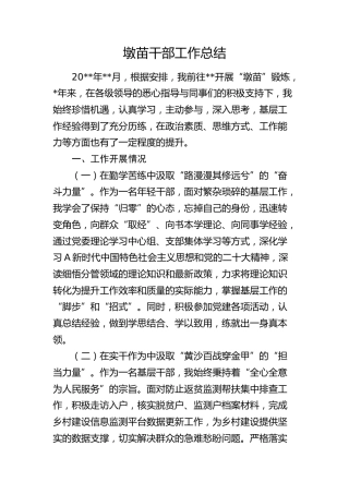 墩苗干部工作总结