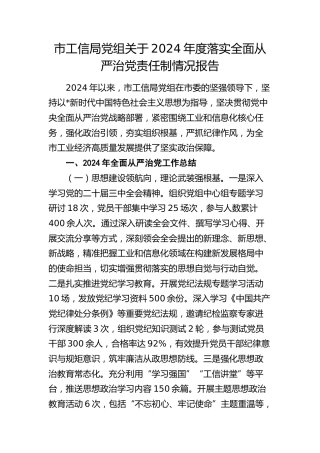 2024年落实全面从严治党责任制情况总结报告（工信6300字）