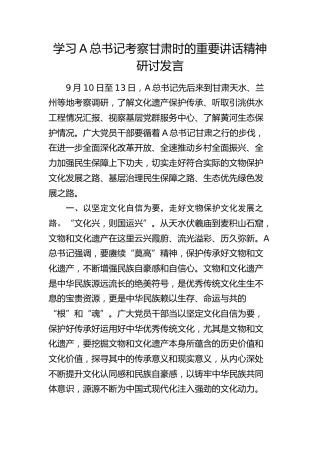总书记考察甘肃重要讲话精神研讨发言