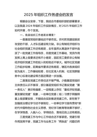 2025年组织工作务虚会发言