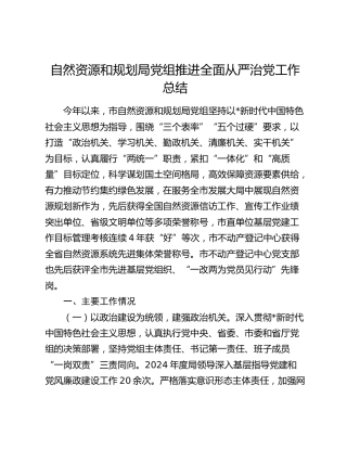 自然资源和规划局推进全面从严治党工作总结2400字