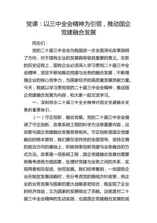 党课：以二十届三中全会精神为引领，推动国企党建融合发展（公司）