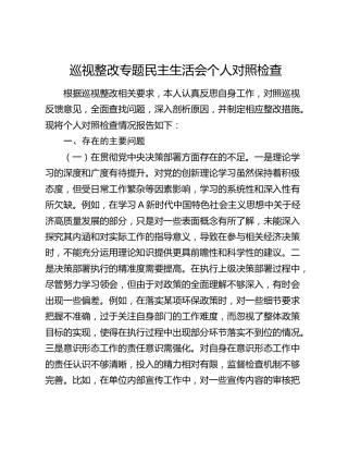 巡视（巡察）整改专题民主生活会个人对照检查2400字