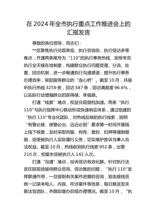 全市执行重点工作推进会上的汇报发言